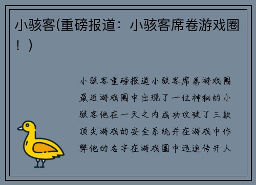小骇客(重磅报道：小骇客席卷游戏圈！)